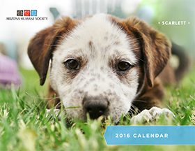 2016-calendar-preview-etails.png