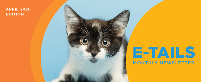 eTails March Header
