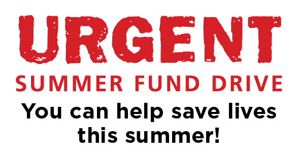 23 Urgent Summer Fund.PNG
