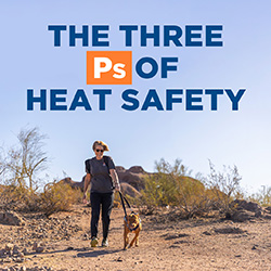 The Three P's of Heat Safety