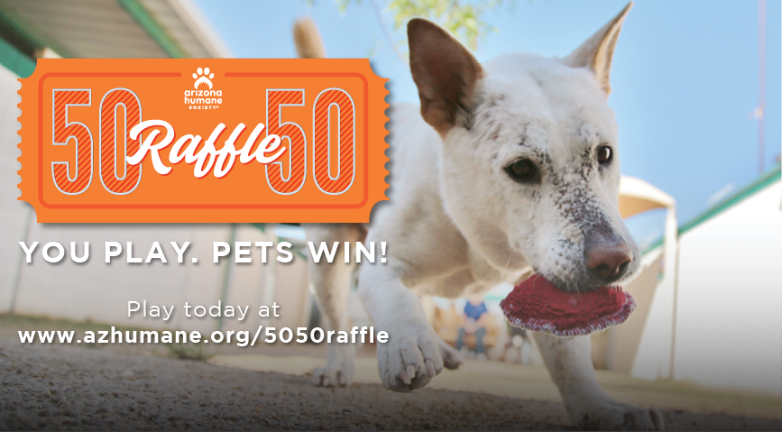 5050Raffle-Fall21_Email-Header 2.png