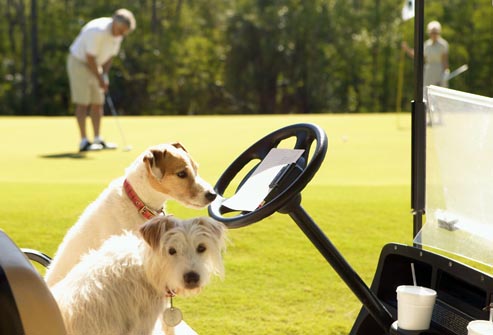 Birdies For Charity Dogs