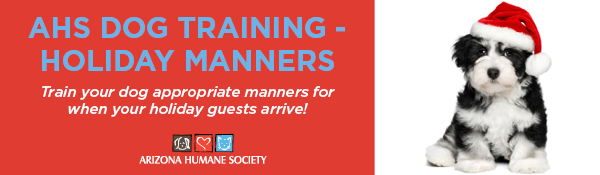 Email Footer Ads - Dog Training - Holiday Manners.png