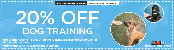 Email Footer Ads - dog Training 20 percent discount.png