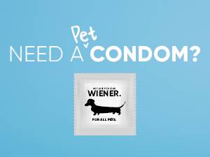Pet-Condom_300x225.png