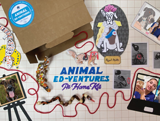 animal-ed-ventures_315x237.png