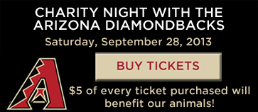 Dbacks - Charity