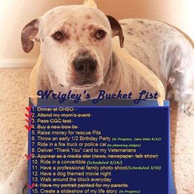 wrigley bucket list
