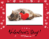 eCard_ValentinesDay_Cat-2020