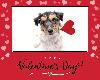 eCard_ValentinesDay_Dog-2020