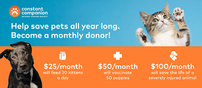 Constant Companion Donation Form.png