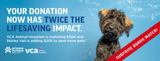 General Donation Form Header