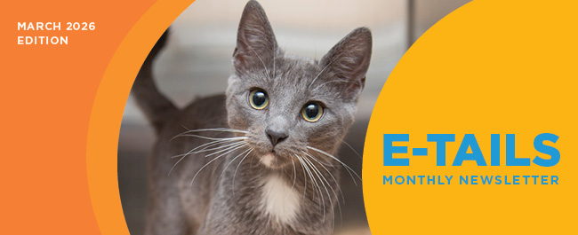 eTails March Header