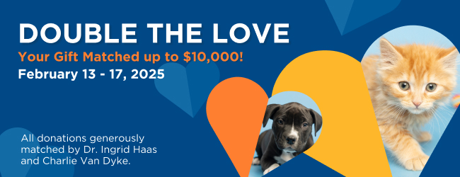 General Donation Form Header