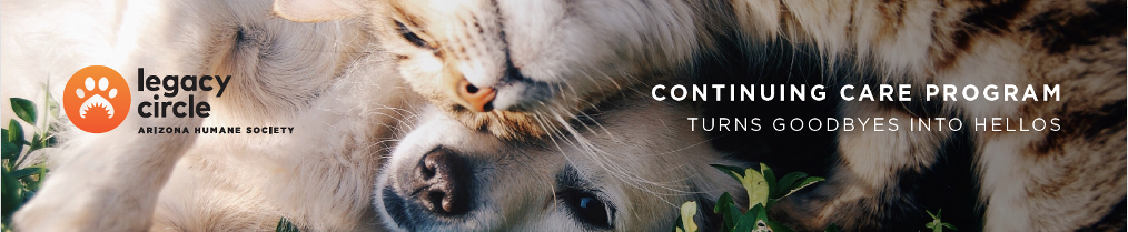 Continuing Care Header.png