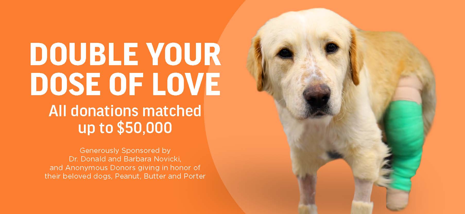 General Donation Form Header