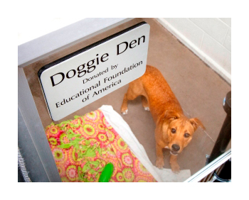 doggie den 300x232.jpg