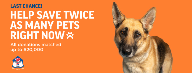 General Donation Form Header